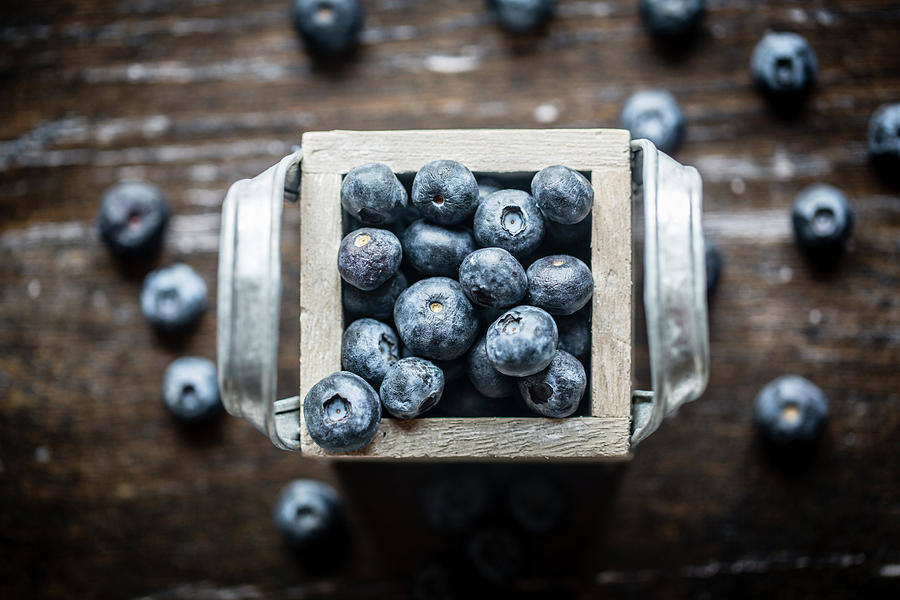 Blueberries Photograph by Lacaosa