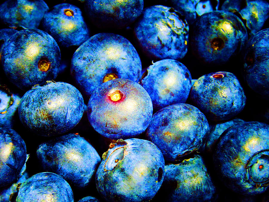 Blueberries Photograph by Laurie Tsemak