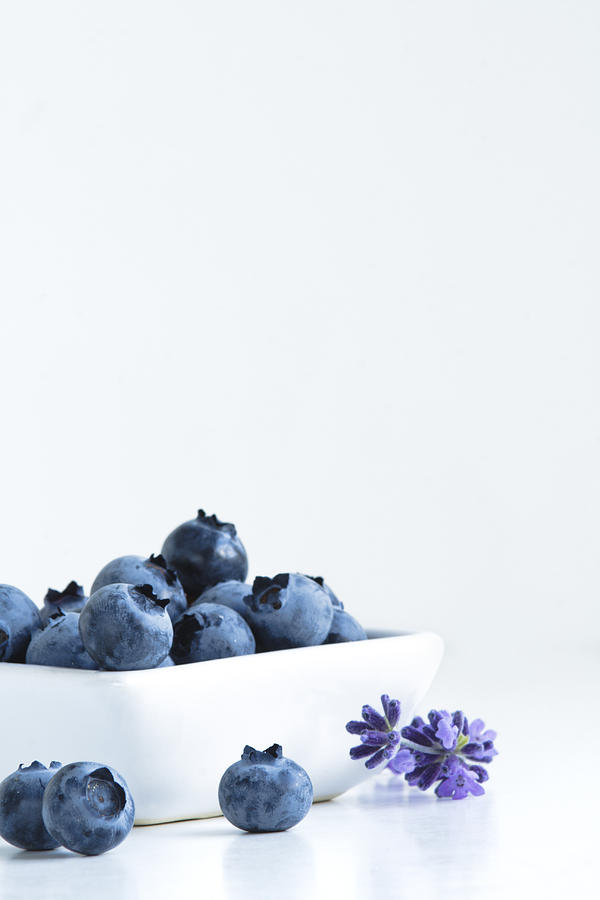 Blueberries on White  Photograph by Wild Sage Studio Karen Powers