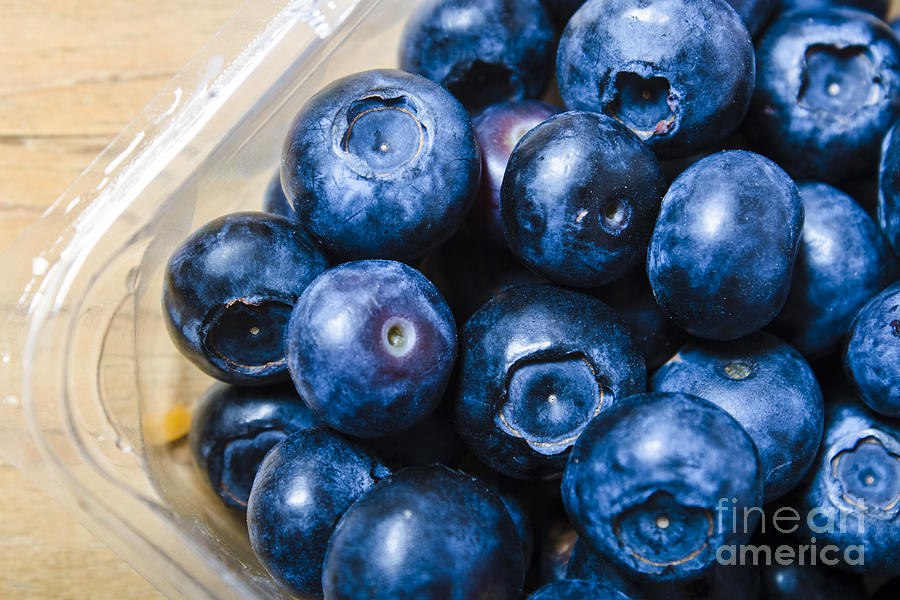 Blueberries punnet Photograph by Jorgo Photography