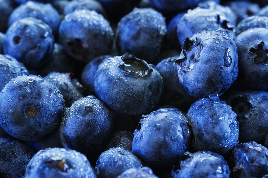 Blueberries Photograph by Vishwanath Bhat