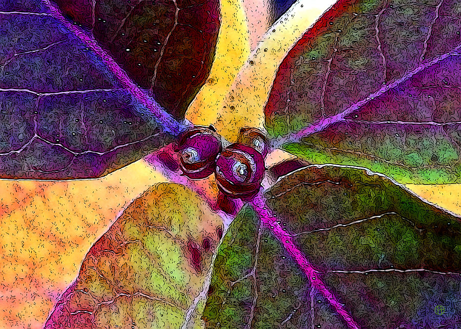 Blueberry Autumn Close-up Digital Art by Gary Olsen-Hasek