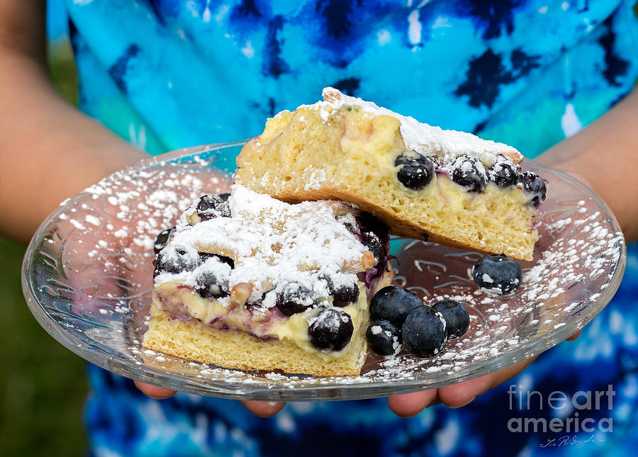 Summer Photograph - Blueberry Dessert by Iris Richardson