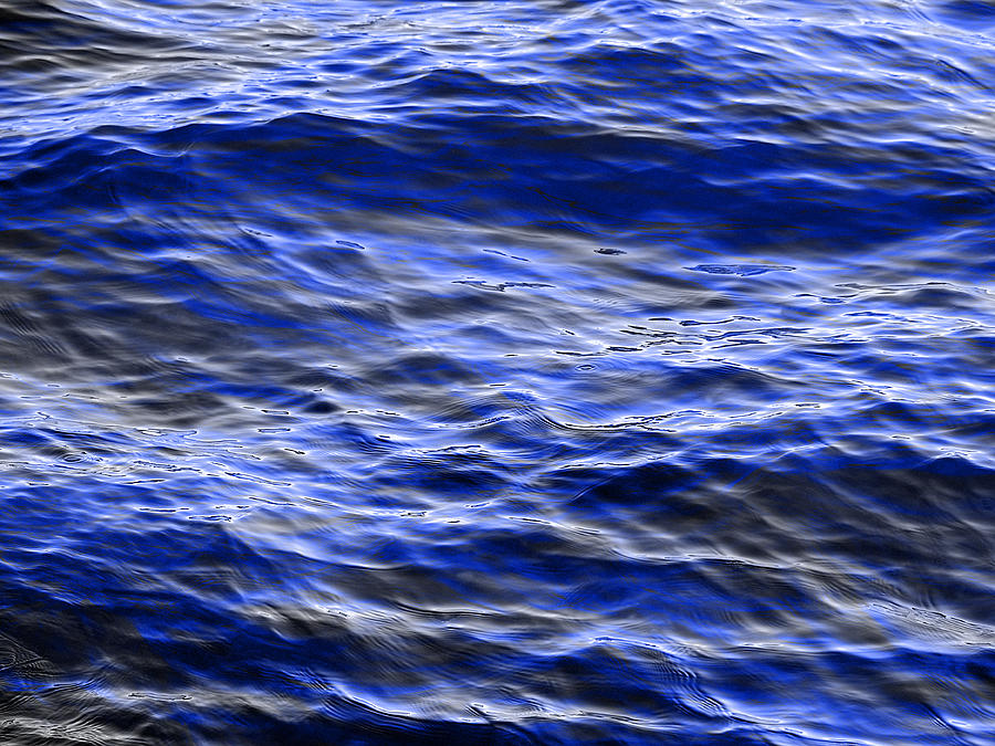 Blueberry Float Photograph by Dennis James Pixels