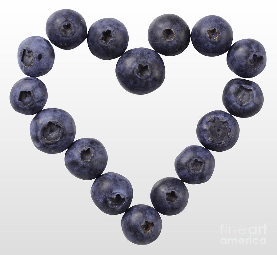 Blueberry Heart Photograph by Gwen Shockey