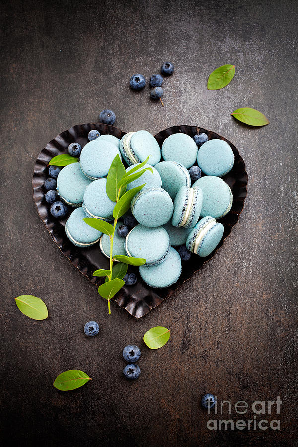 Cake Photograph - Blueberry macaroons by Kati Finell