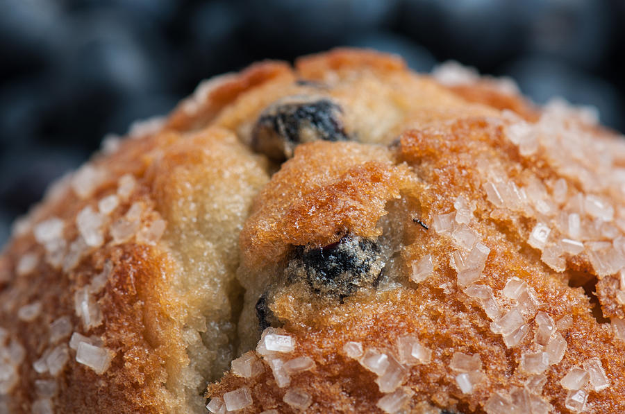 Blueberry Muffin Close Up Photograph