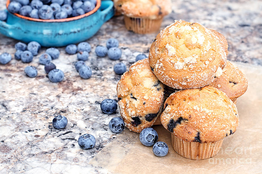 Blueberry Muffins and Berries Photograph by Stephanie Frey