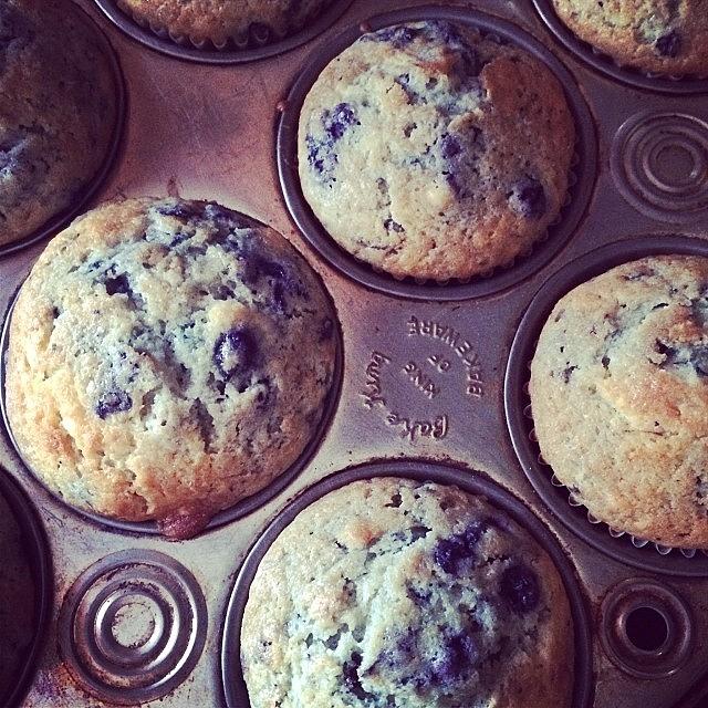 Blueberry Muffins! Photograph by Justine Johnson