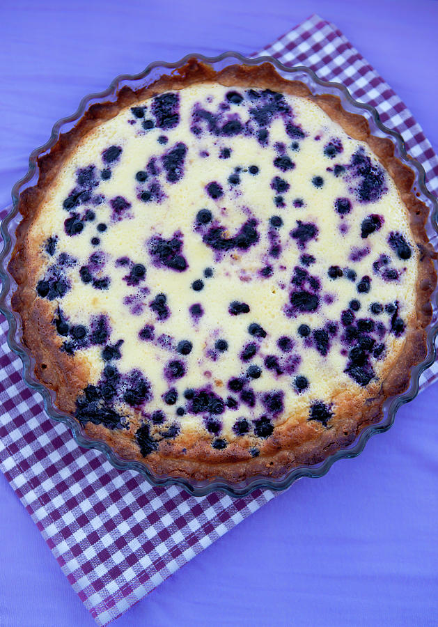 Blueberry Pie Photograph by Ekaterina Smirnova