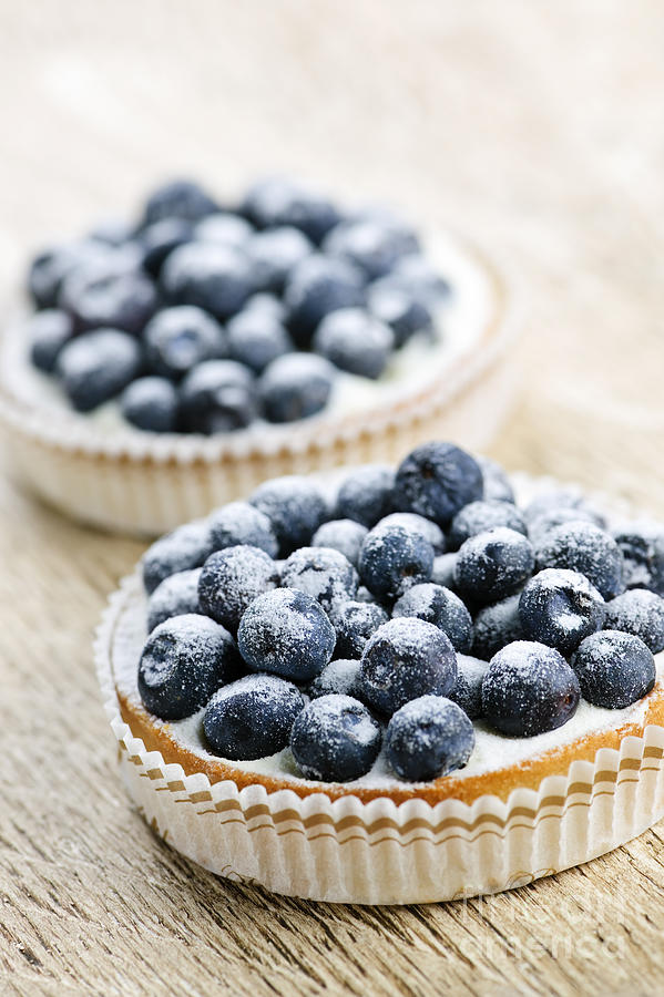 Blueberry Photograph - Blueberry tarts by Elena Elisseeva