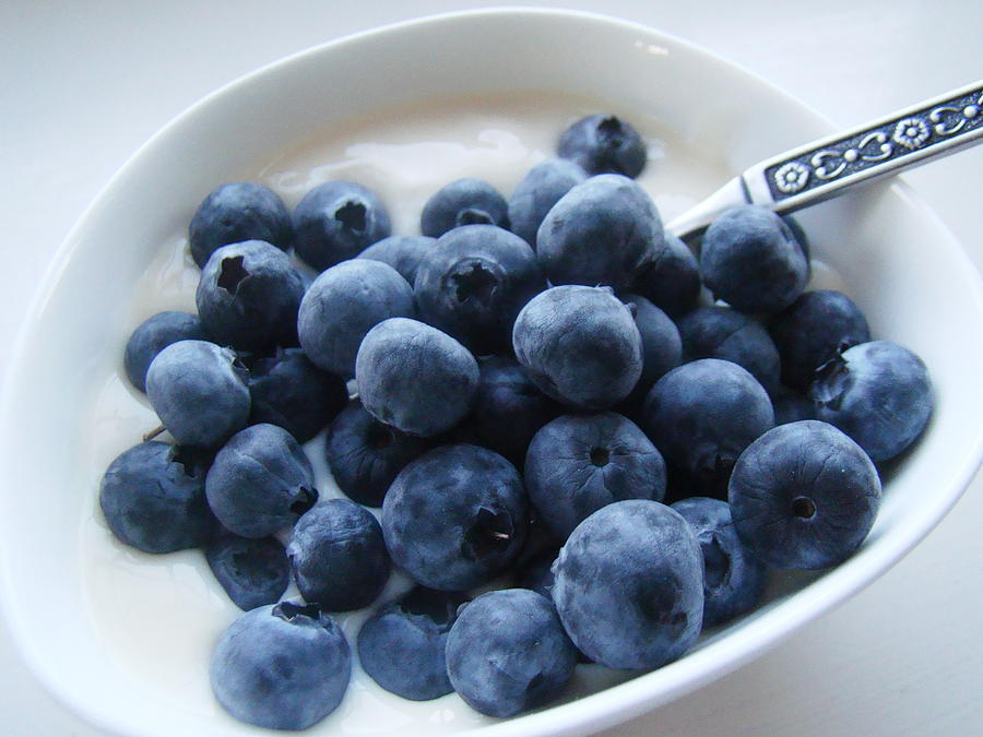 Blueberrymorning Photograph by Janet Hudson