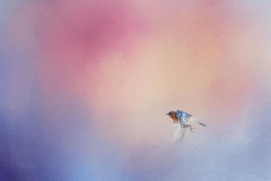 Bluebird 1 - I Wish I Could Fly Series Photograph by Jai Johnson