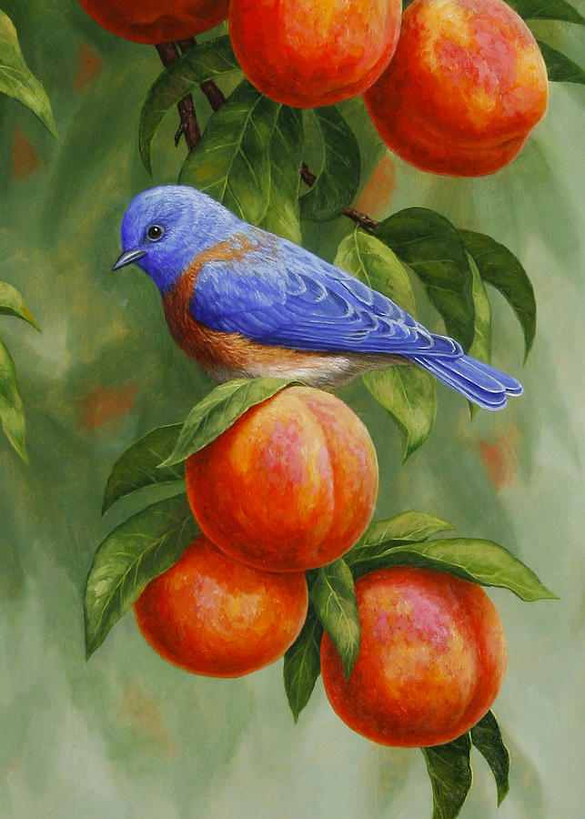 Bird Painting - Bluebird and Peaches Greeting Card 2 by Crista Forest