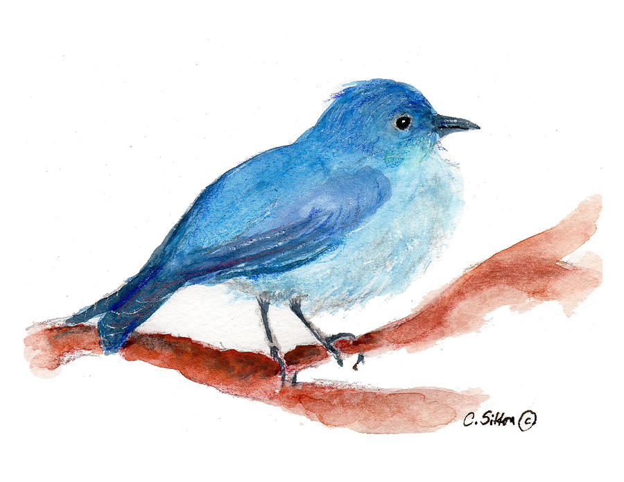 Bluebird Painting by C Sitton