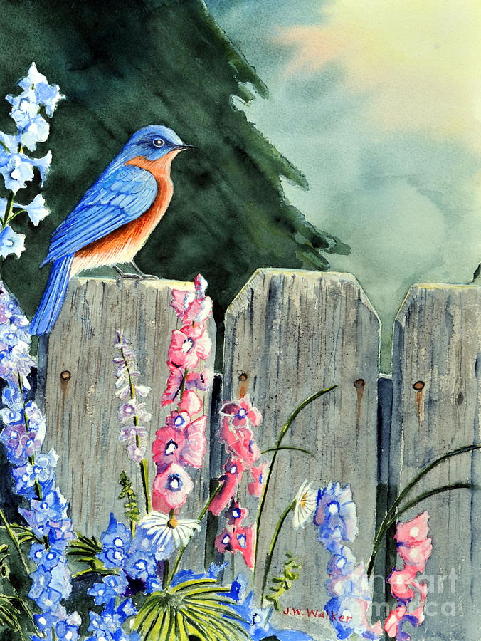 Bluebird Morning Painting by John W Walker
