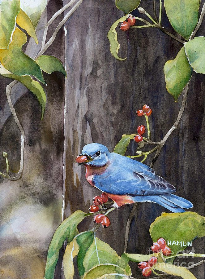 Bluebird - Red Berries Painting by Steve Hamlin