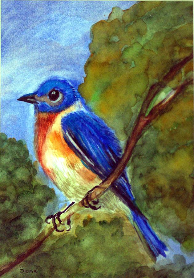 Bluebird Painting by Siona Koubek - Fine Art America