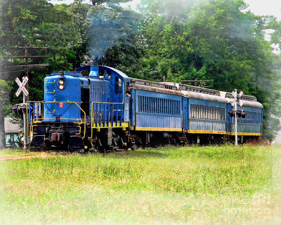 Bluebird Train Photograph by Jack Schultz