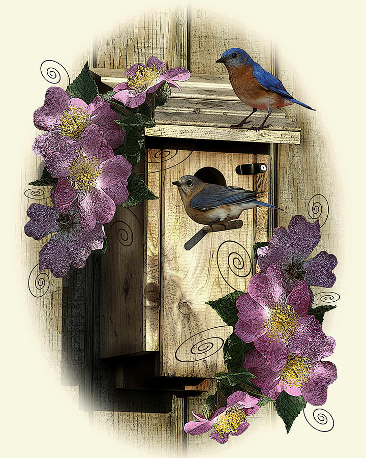 Bluebirds and Wild Roses Photograph by TnBackroadsPhotos 