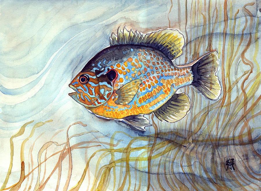 Bluegill Painting by Katherine Miller