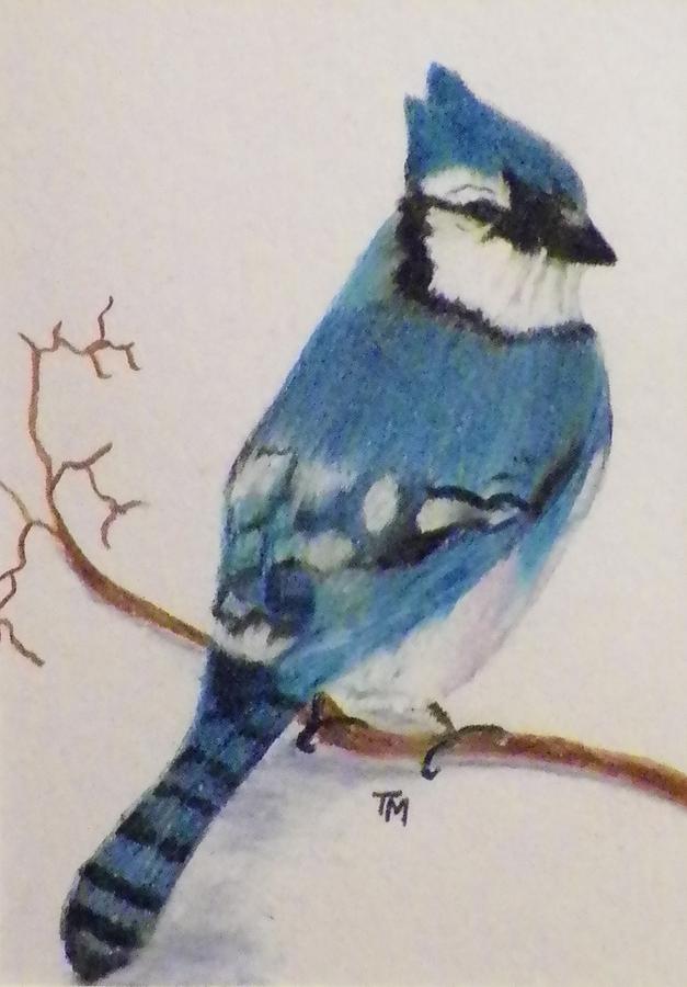 Bluejay Painting by Teri Merrill