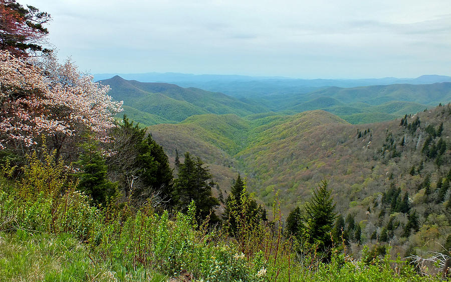 Blueridge Parkway View at MM 422 Photograph by Duane McCullough