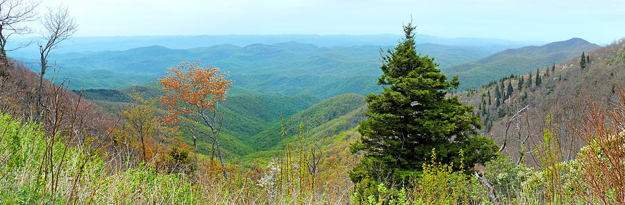 Blueridge Parkway Wide View at MM 421 Photograph by Duane McCullough