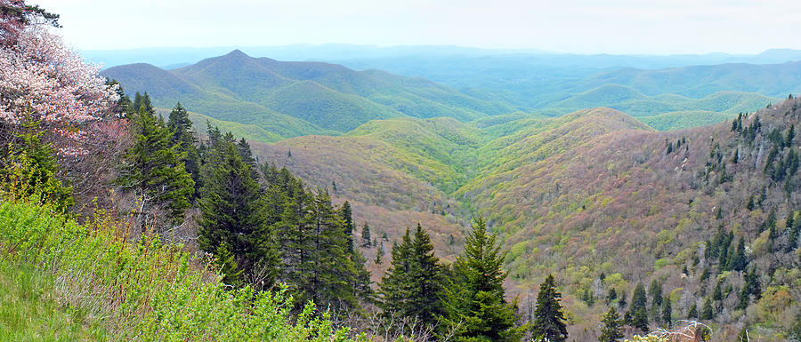 Blueridge Parkway Wide View at MM 422 Photograph by Duane McCullough