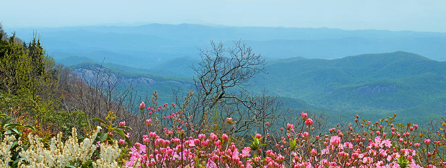 Blueridge Parkway Wide View near MM 420 Photograph by Duane McCullough