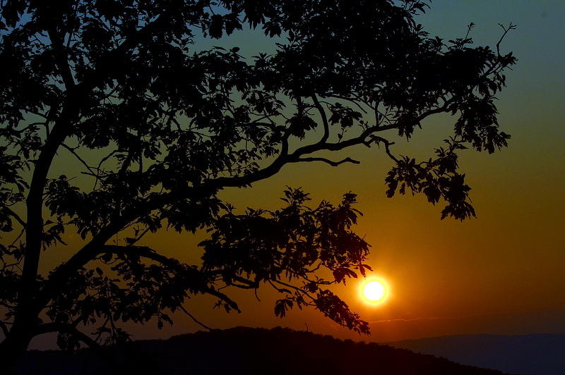 BlueRidge Sunset Photograph by Cathy Shiflett