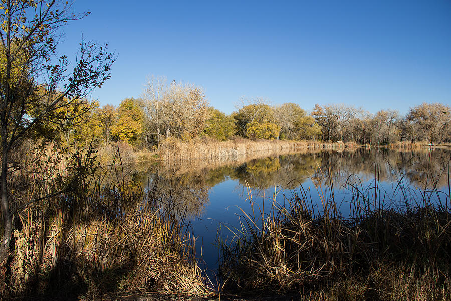 Bluest Lagoon Photograph by KatagramStudios Photography | Fine Art America