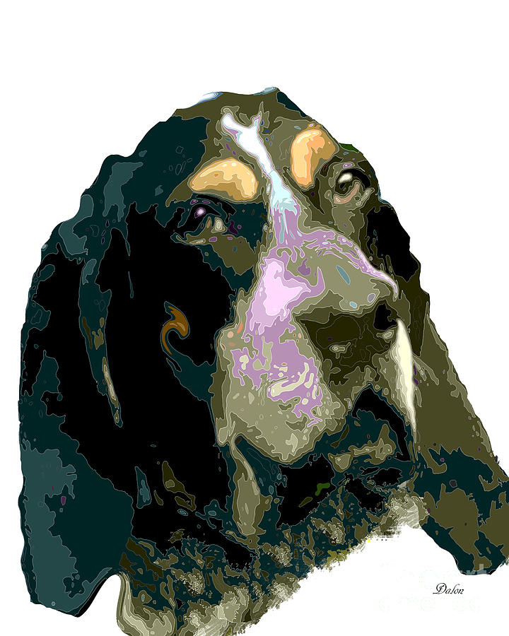 Bluetick Coonhound Digital Art by Keith Ryan - Fine Art America