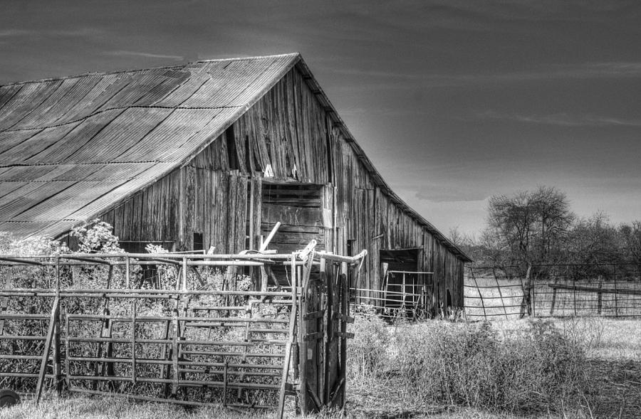 Barn Photograph - Bluff Barn by Lisa Moore