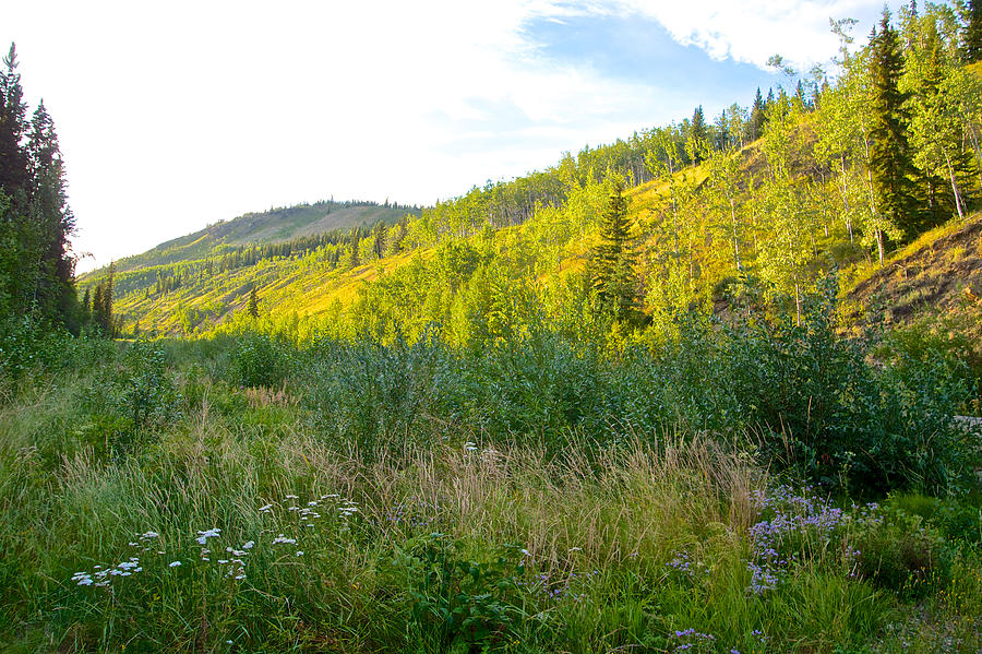 Bluff Overlooking our Campsite by Stewart River along Klondike Highway ...