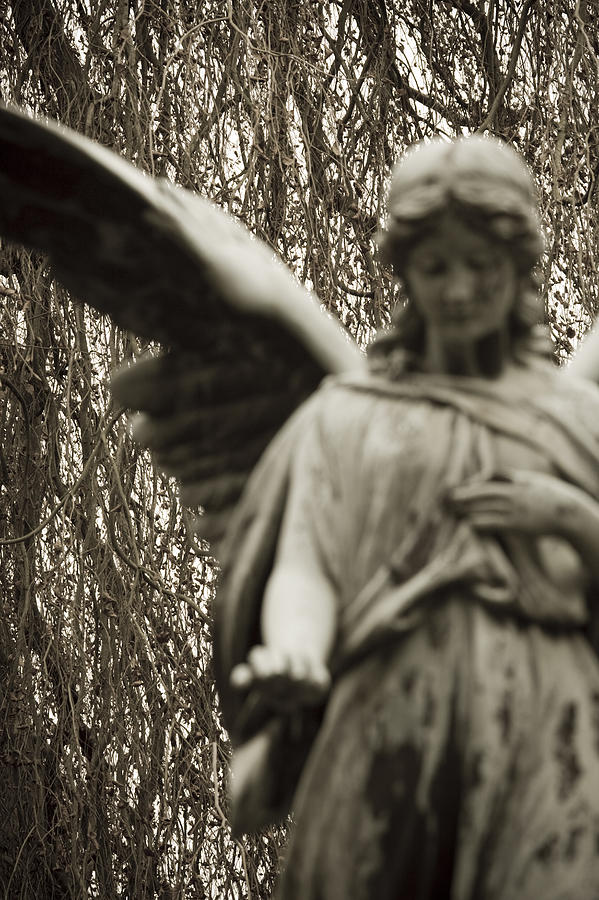 Blurred angel Photograph by Maria Heyens