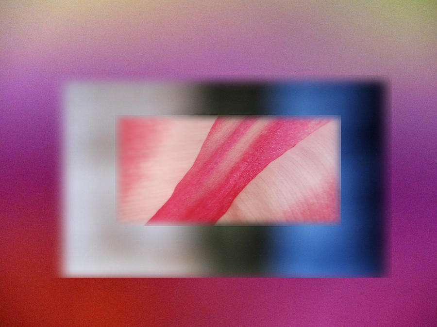 Abstract Photograph - Blurred Bars 111 by Lyn  Perry