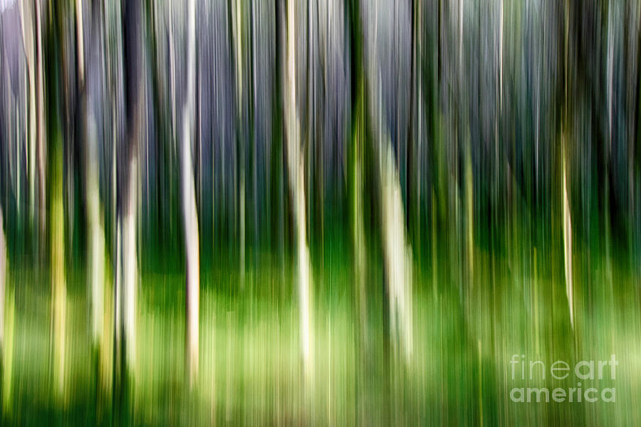Abstract Photograph - Blurred by Juergen Klust