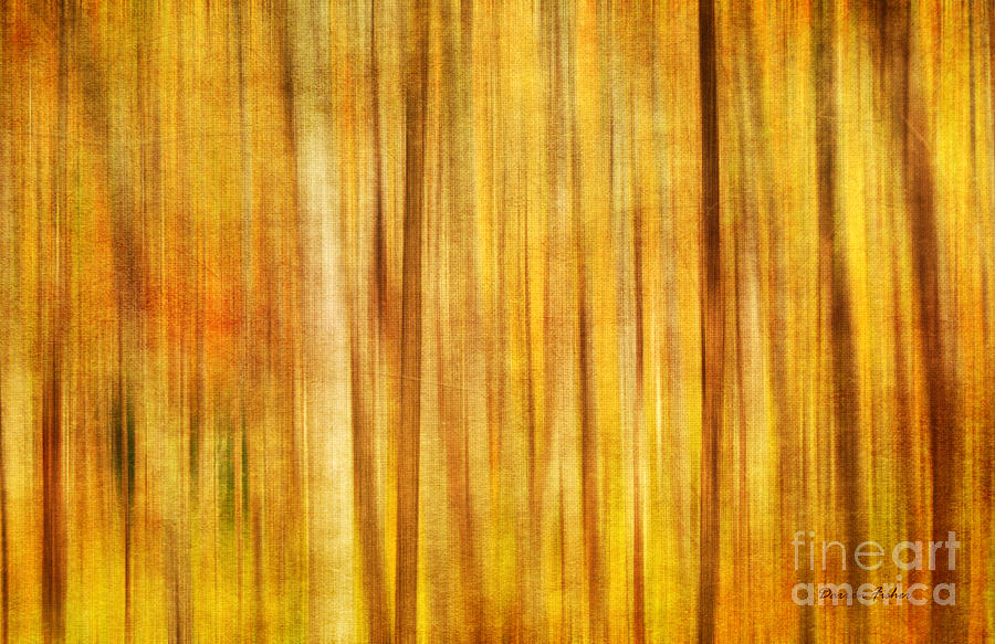 Nature Photograph - Blurred Lines by Darren Fisher