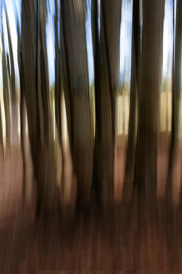 Blurred LInes Photograph by Roni Chastain