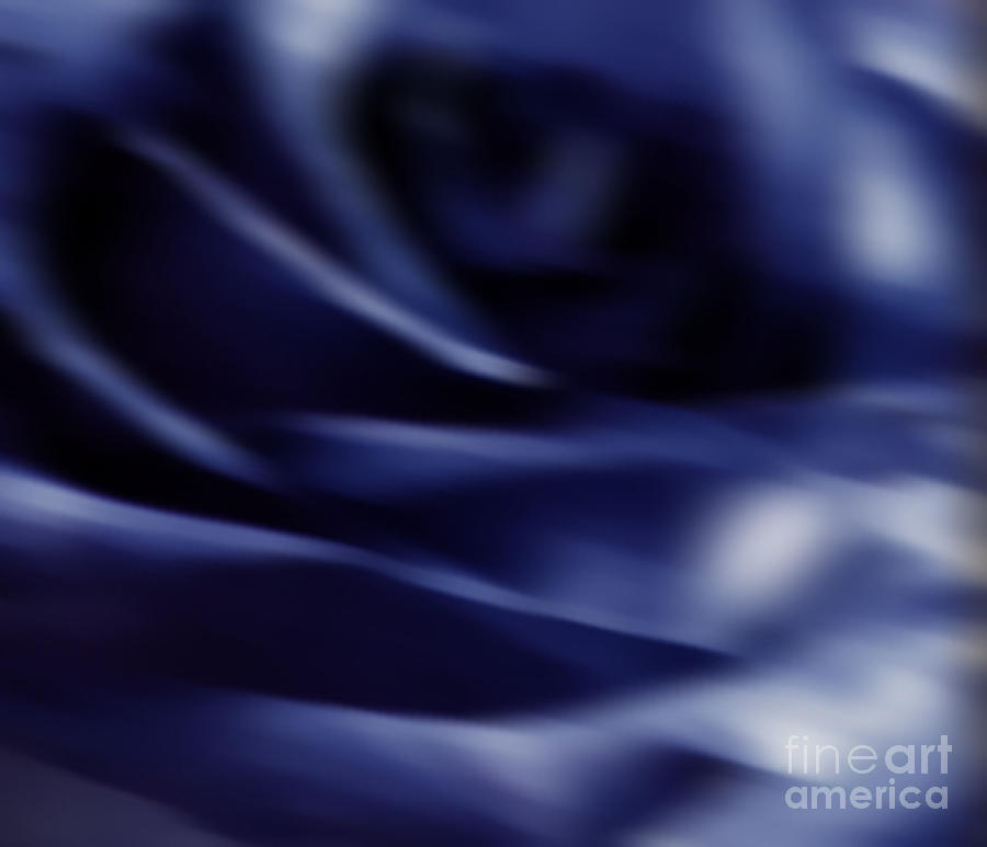 Blurred Rose Photograph by Gayle Price Thomas