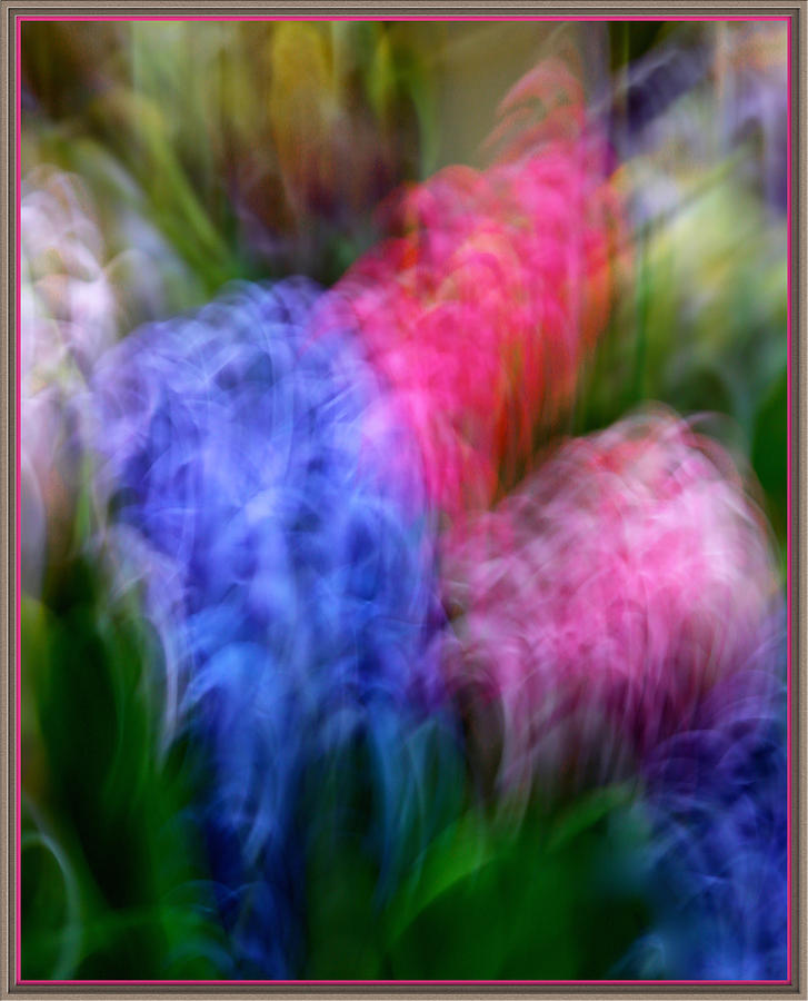 Blurred spring flowers Photograph by Bobbie Turner