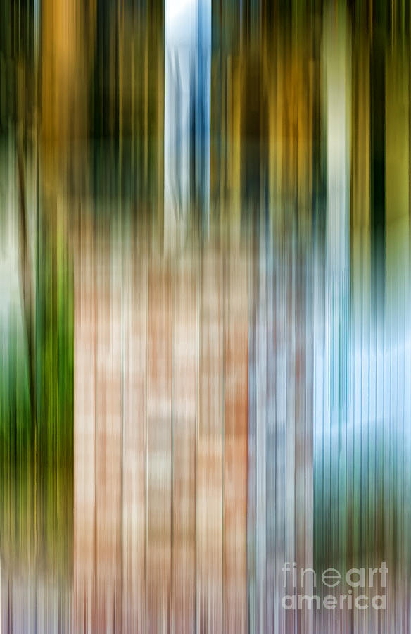 Blurry Lines  Photograph by Les Palenik