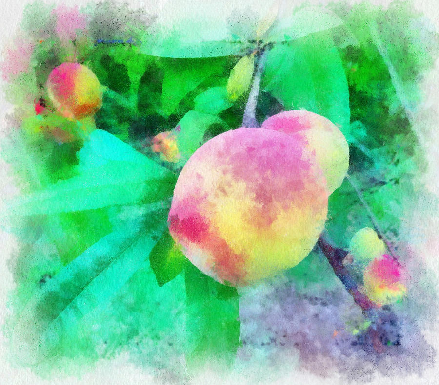 Peach Digital Art - Blush by Chris Gibbons 