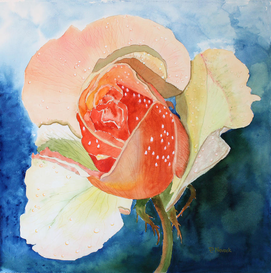 Blushing Bloom Painting by Patricia Novack