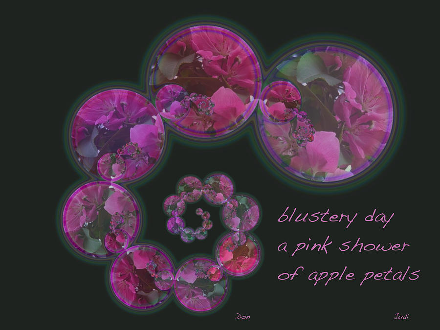 Blustery Day Haiga Photograph by Judi and Don Hall