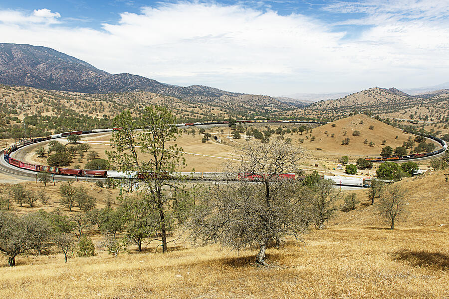 BNSF4604 Manifest westbound in the Tehachapi Loop. Photograph by Jim Thompson