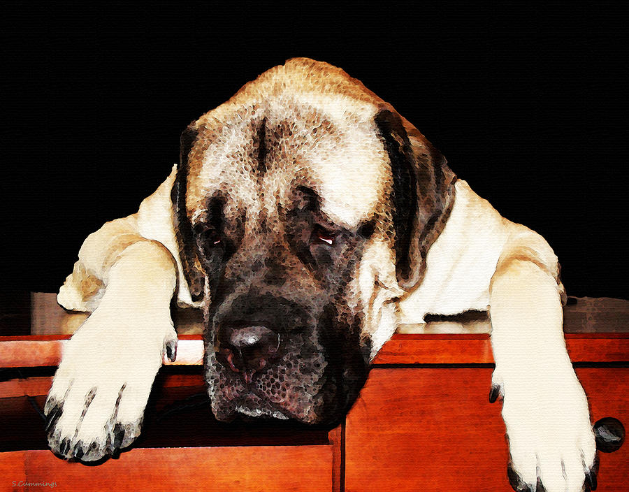 Mastiff Painting - Mastiff Art By Sharon Cummings by Sharon Cummings Mastiff Painting - Mastiff Art By Sharon Cummings by Sharon Cummings