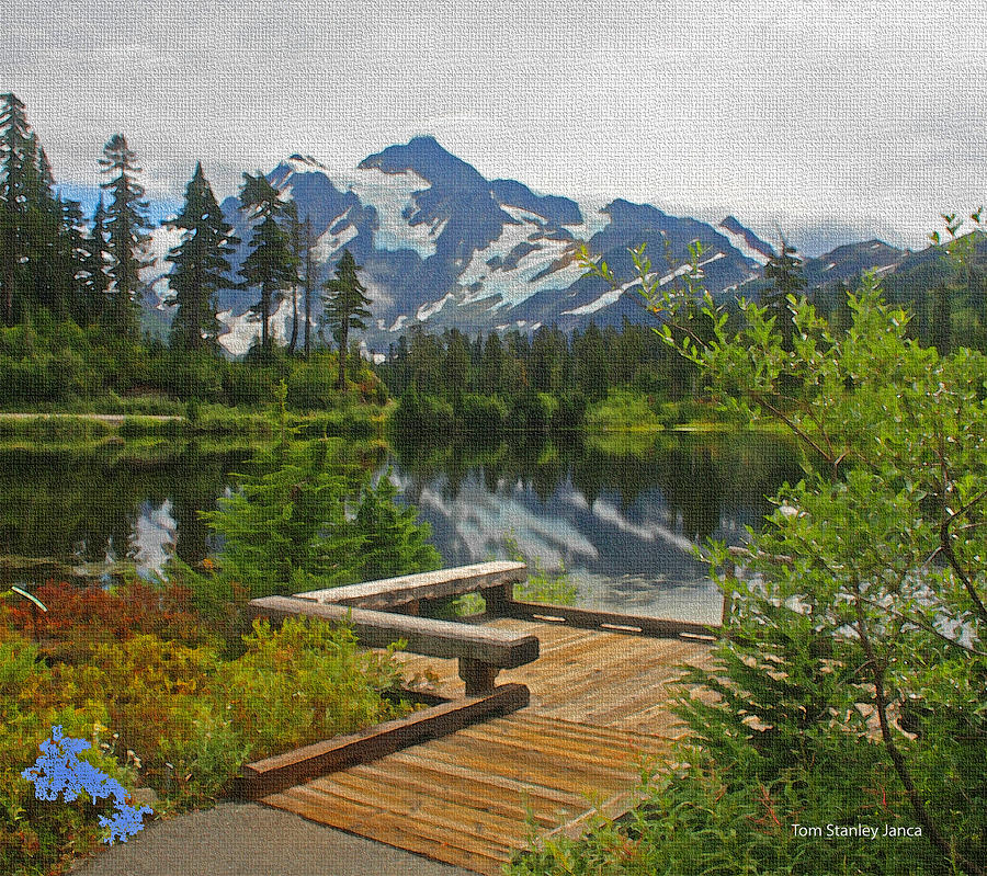 Board Walk- Lake- Fir Trees And Mount Baker Photograph by Tom Janca