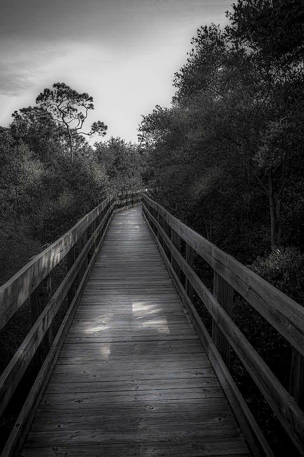 Black And White Photograph - Boardwalk Escape by Marvin Spates